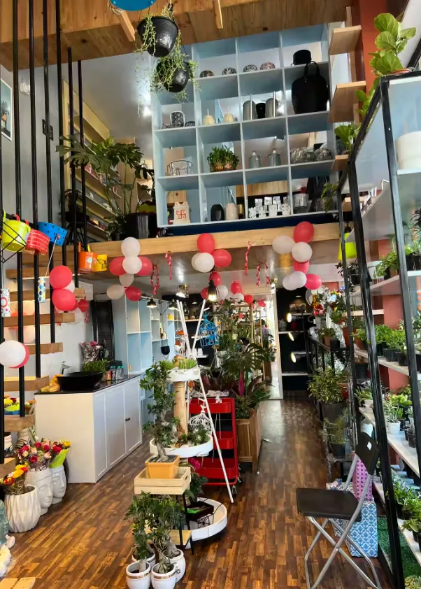 Festive red and white balloons decorate the interior of Green Glow Nursery in Yadavgiri, Mysore, highlighting numerous plants and tiered shelving. Aspire Digital Solutions assists businesses by creating marketing visuals.