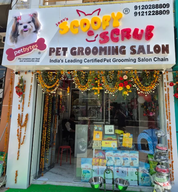 Aspire Digital Solutions offers a wide range of marketing services. They help a fashion store, a tuition center, a skin clinic, a gym studio, a mobile repair shop, and a pet shop attract customers and build their brand online.